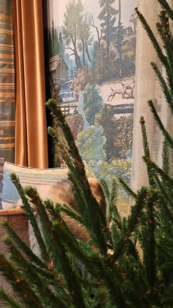 tessuto parete giovagnoli collezioni